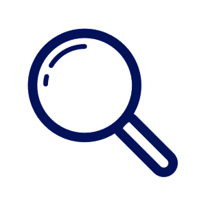 Search Icon